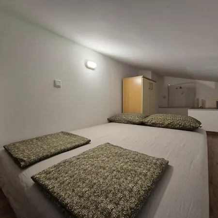 Nyaraló Emum Family